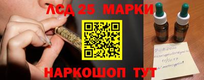 гидропоника Ярославль