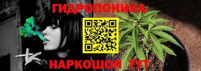кокс Берёзовский