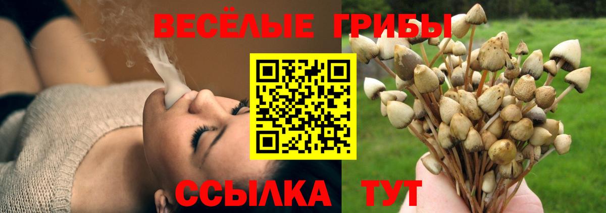 Галлюциногенные грибы Psilocybine cubensis  Вход с VPN  Псилоцибиновые грибы Magic Shrooms  Ачхой-Мартан 