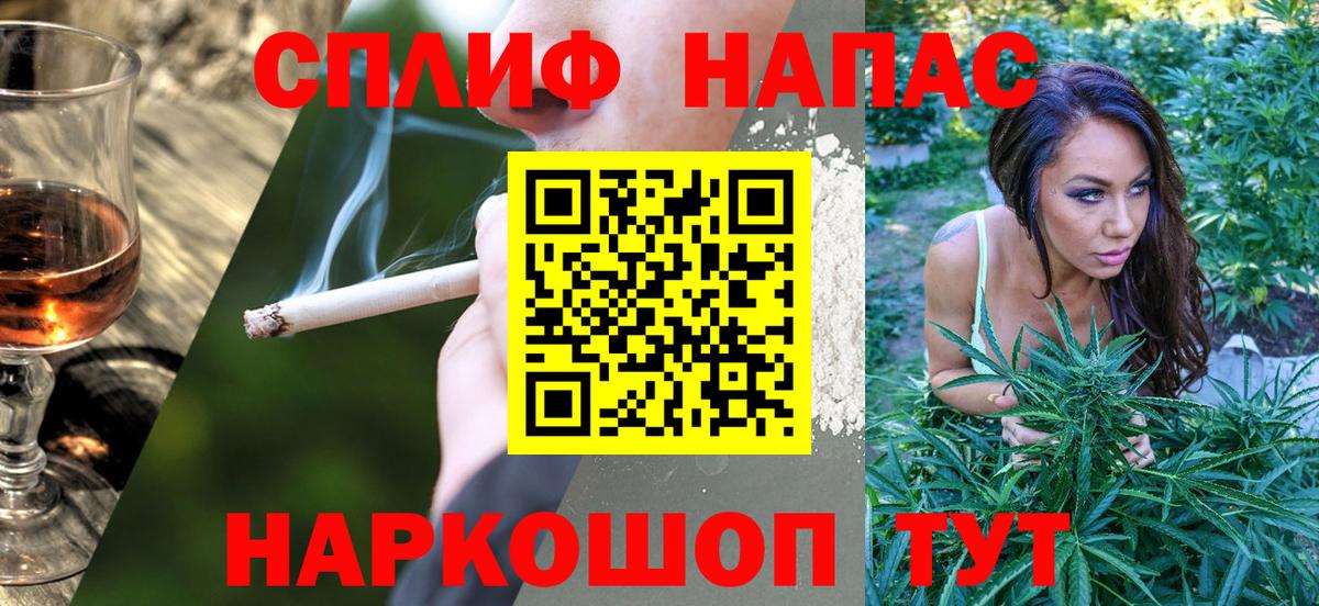 Бошки Шишки сатива Ачхой-Мартан